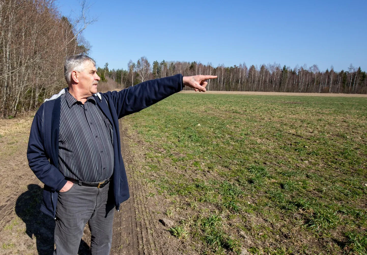 “Kaks aastat ei ole keegi siin talus käinud, mingi tehingu üle aru pidanud, aga meie tahame riigilt vastu asendusmaad kodu lähedal,” seletas Laari talu peremees Vassili ­Padumäe.