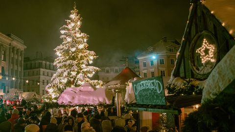 ANNA OMA HÄÄL ⟩ Vali Baltikumi ja Skandinaavia parim jõulupuu