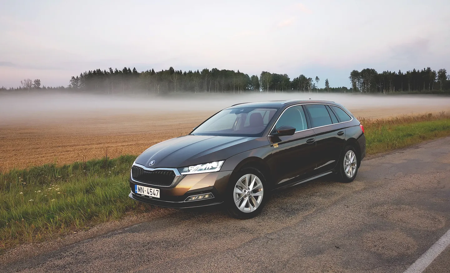 Škoda Octavia находится в списке самых популярных новых моделей автомобилей за 2024 год. Иллюстративное фото.
