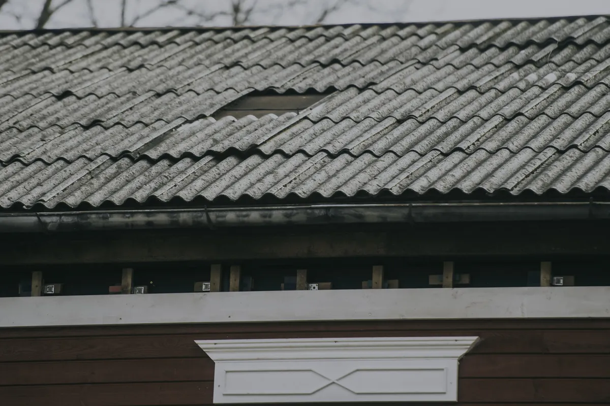Фото статьи