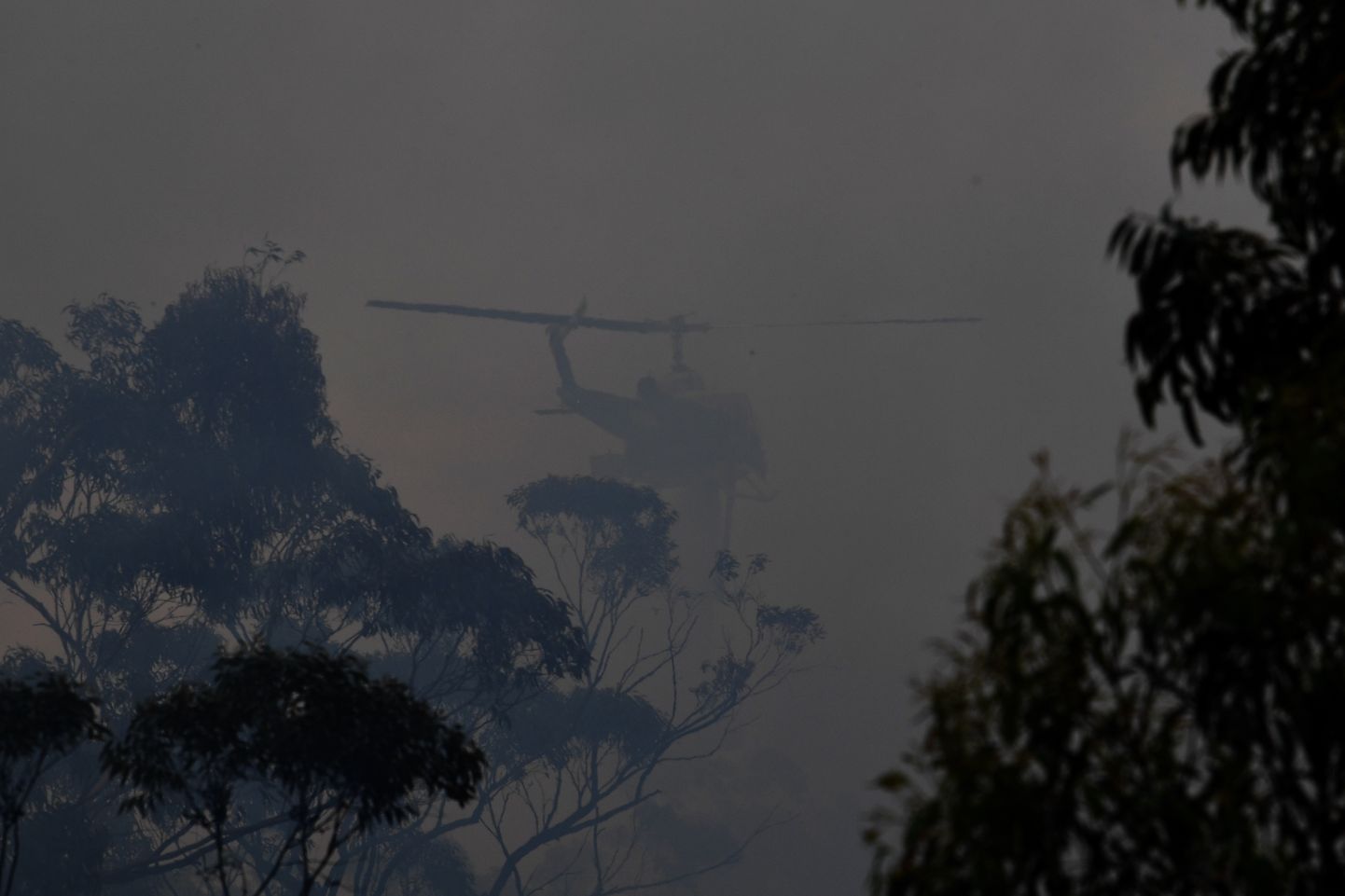 Savvaļas ugunsgrēki Austrālijā