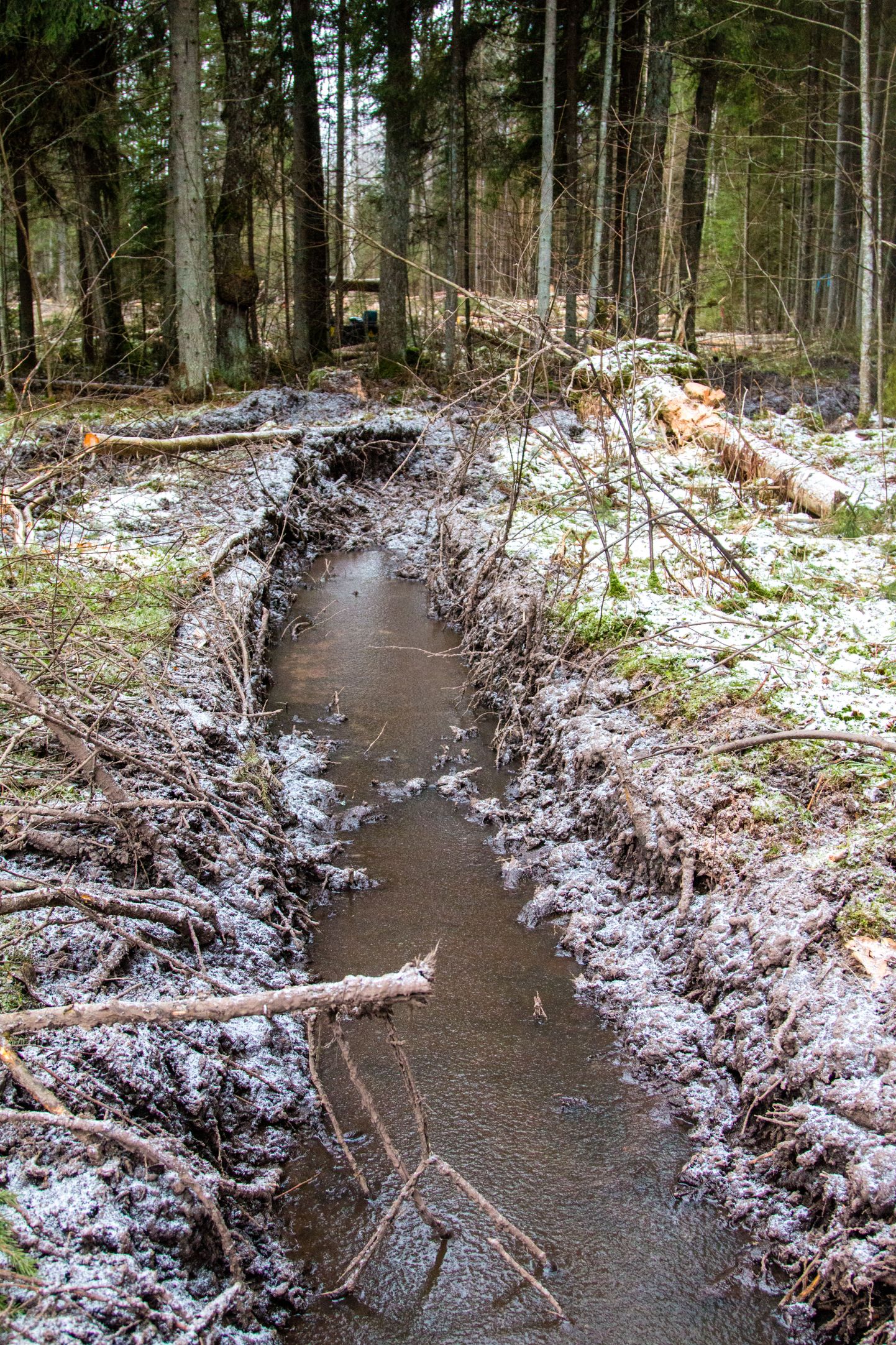 Metsa ülestöötamine ja väljavedu olid lõppenud talvel külmumata pinnase tõttu raskendatud.