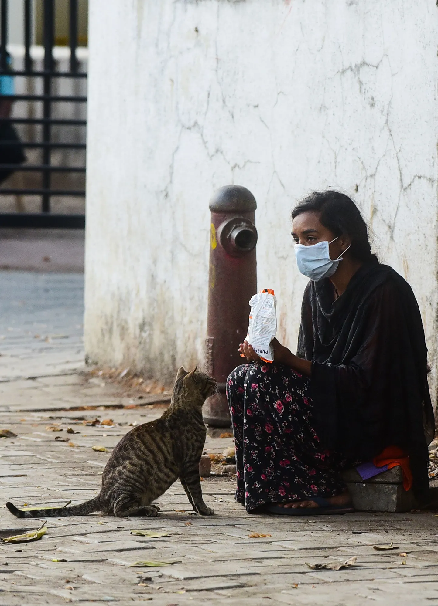Mumbai elanik toidab kodutut kassi 11. aprill 2020.