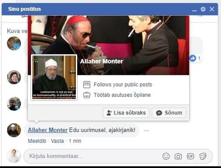 Troll soovib ajakirjanikule edu hetkel, mil ainsad inimesed, kes artikli kirjutamisest teadsid, olid Sinise Äratuse liikmed. Postitus kustutati sisuliselt kohe, kui see postitati. Konto tunnused (meeldimised, huumorimeel, sõbrad) on sarnased kümnete teiste libakontodega.