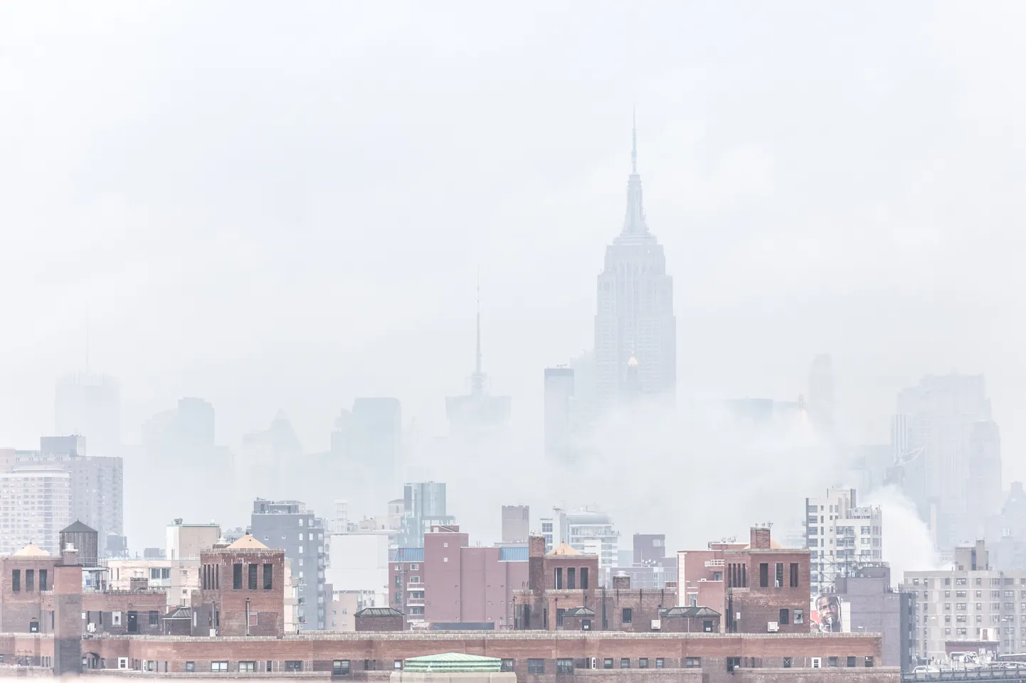 New York udus.