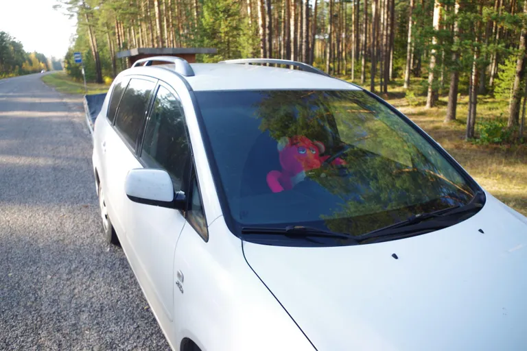 Üks laadaline on autosse hirmuäratava valvuri jätnud.