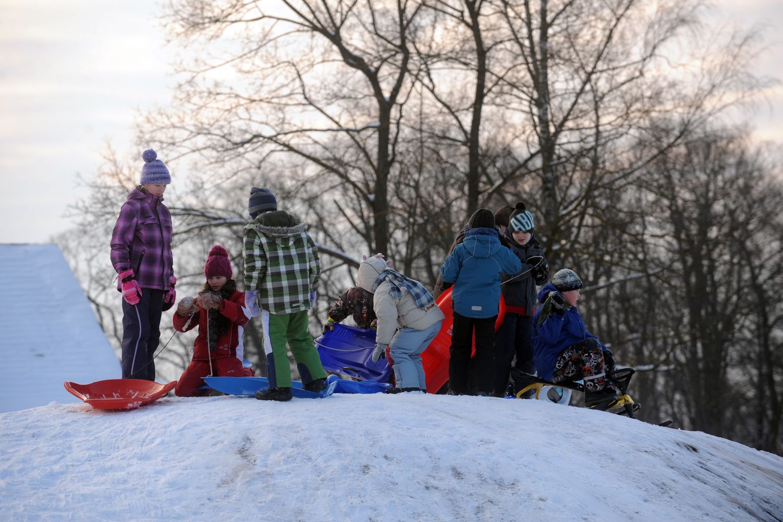 Bērni šļūc ar ragavām no kalniņa Uzvaras parkā.