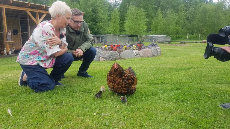 "Terevisioon" Läsnal.
