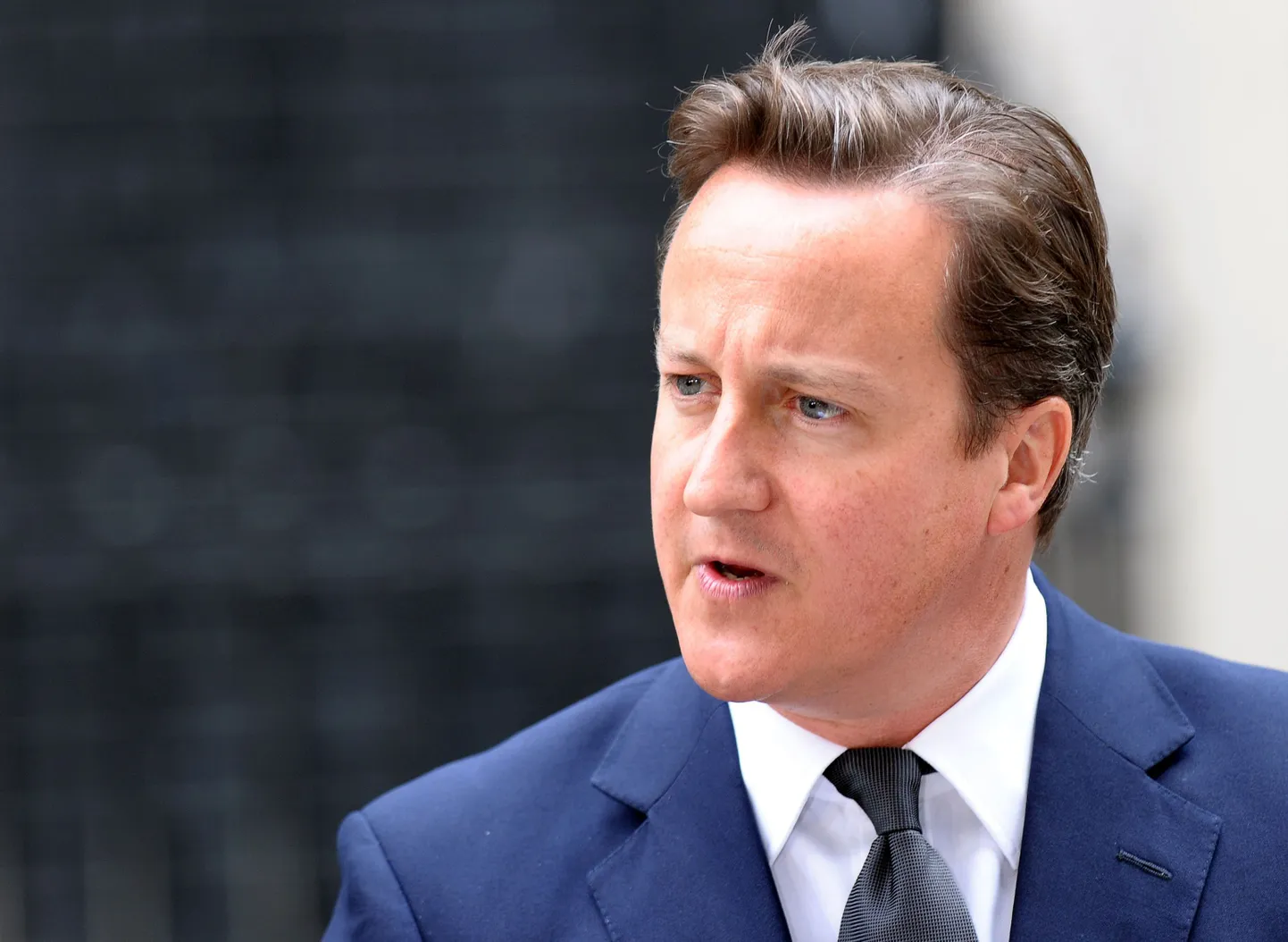 Briti peaminister David Cameron täna Downing Streetil.