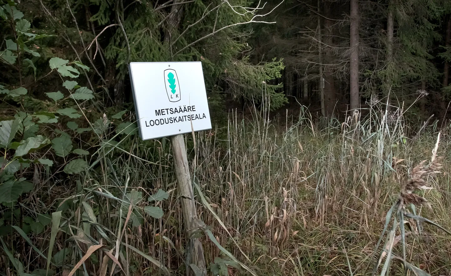 Riik toetab metsandusega seotud keskkonnaprojekte.