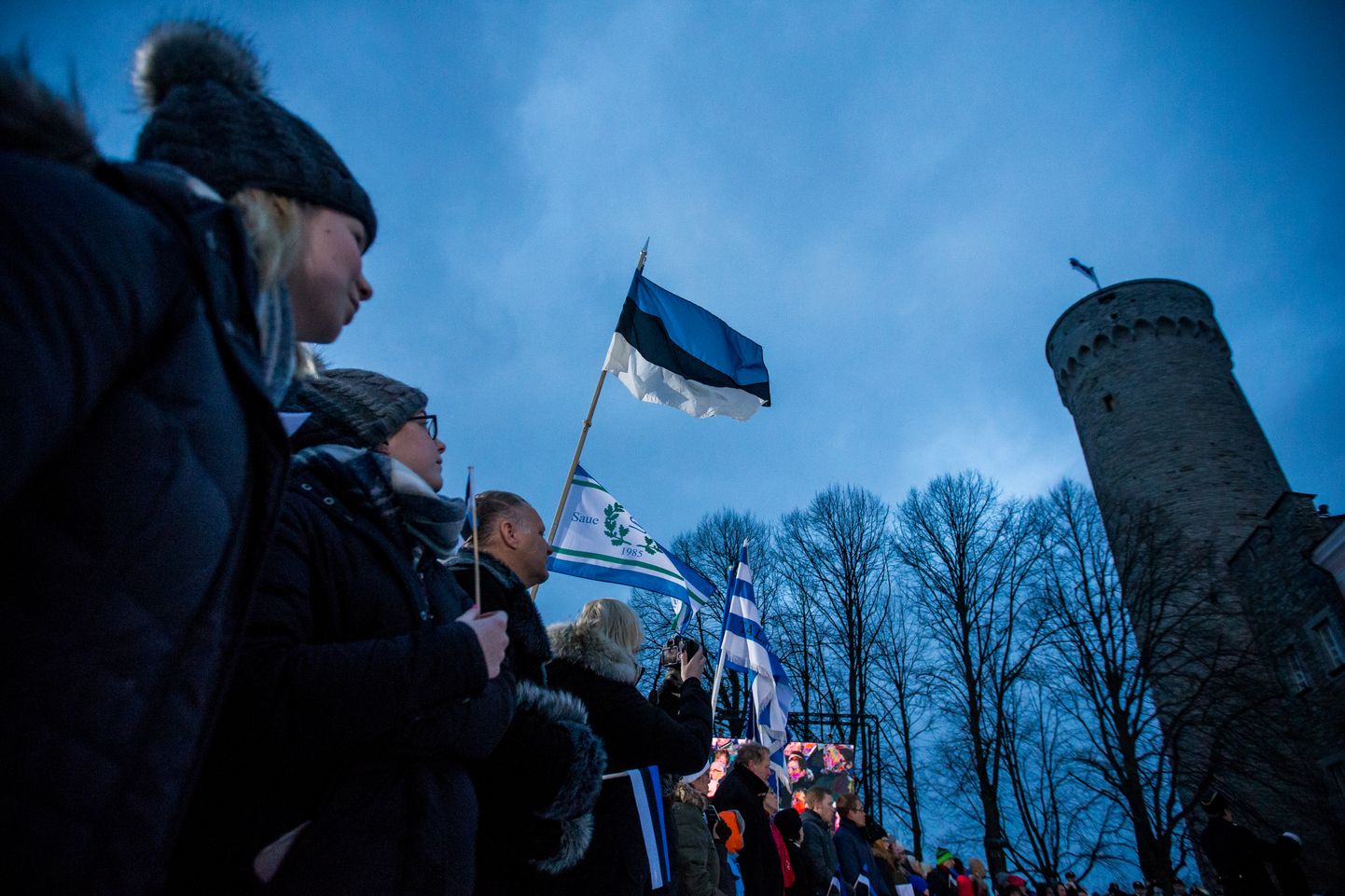 Поднятие флага в День Независимости Эстонии.