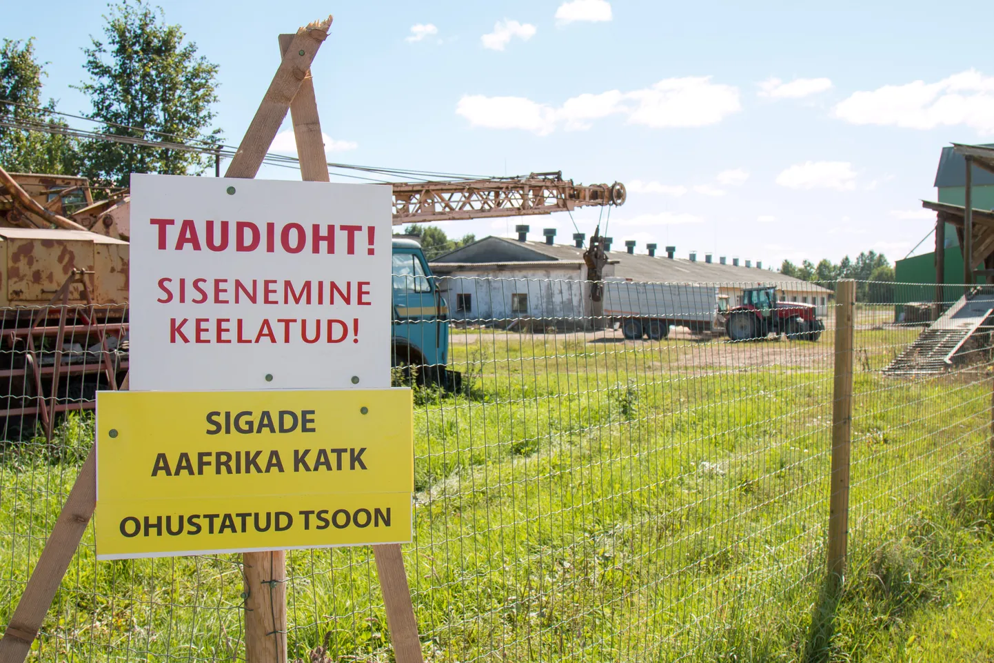 Fotomeenutus eelmise aasta katkukoldest Viljandimaal Tarvastu vallas.