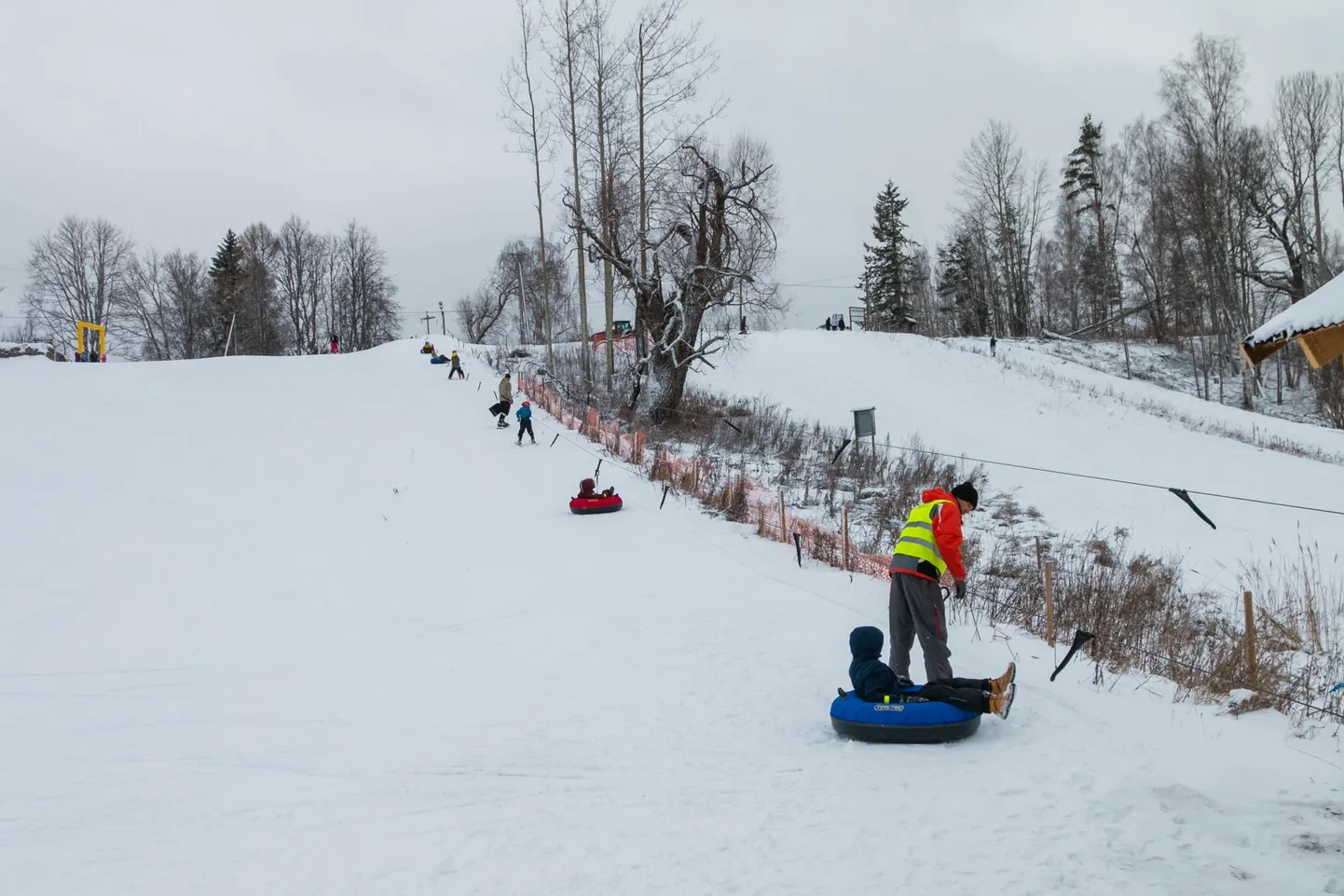 Karula kandis leidub tegevust ka talvel.