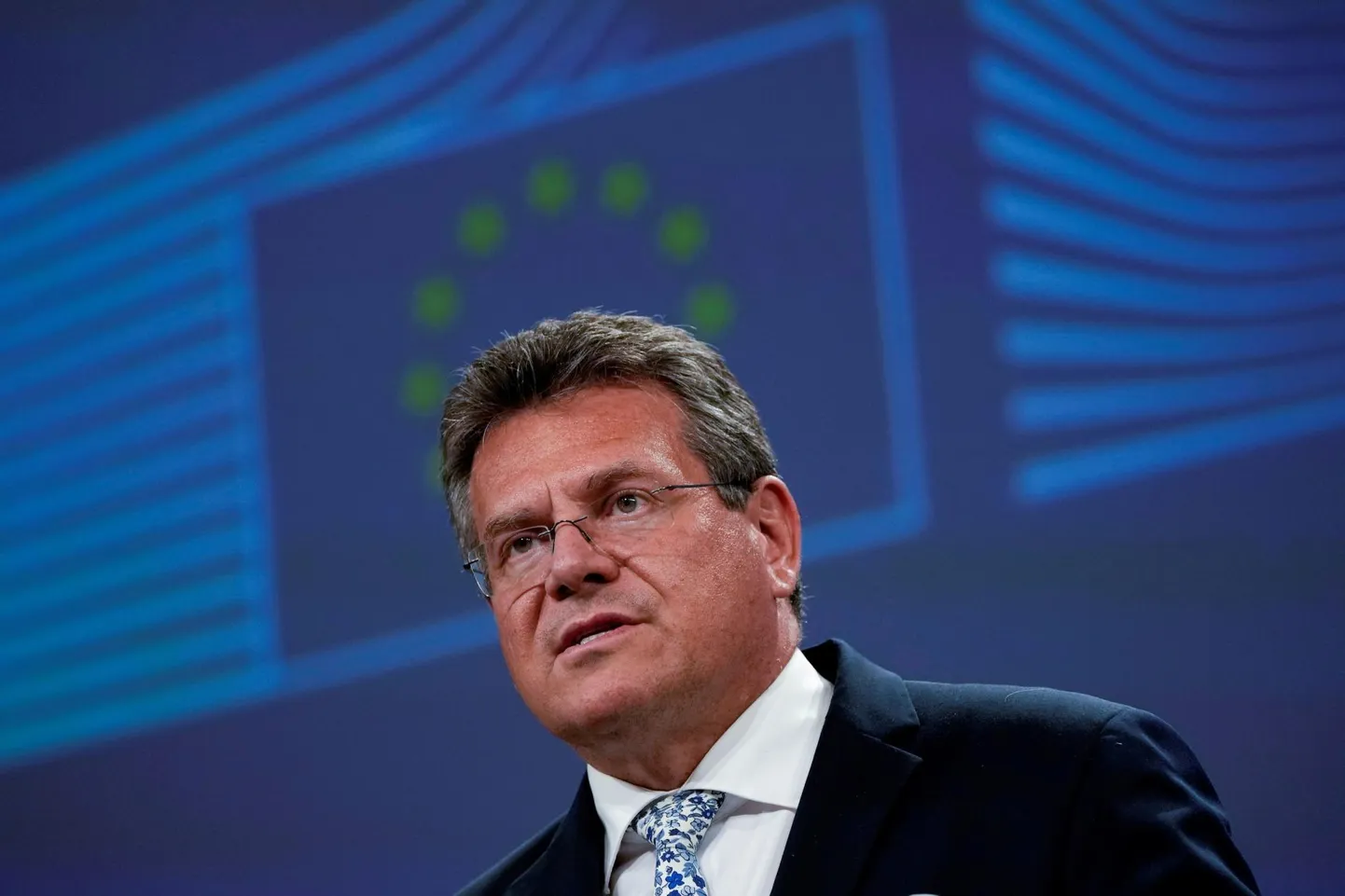 Euroopa Komisjoni asepresidendi Maroš Šefčoviči sõnul on ettevõtmise peamine eesmärk hoida gaasi hind suuremahuliste ostudega madalal.