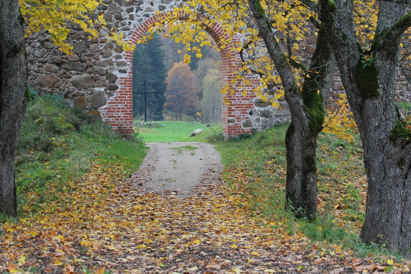 Artikli foto