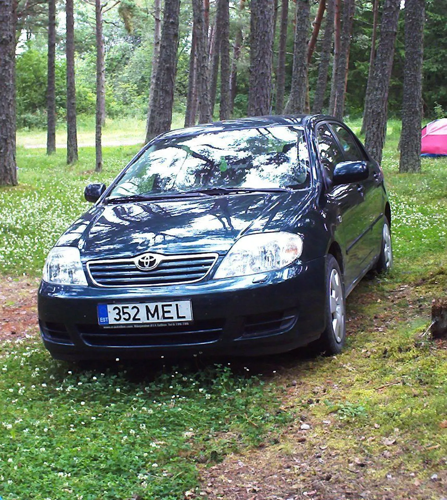 Toyota Corolla.