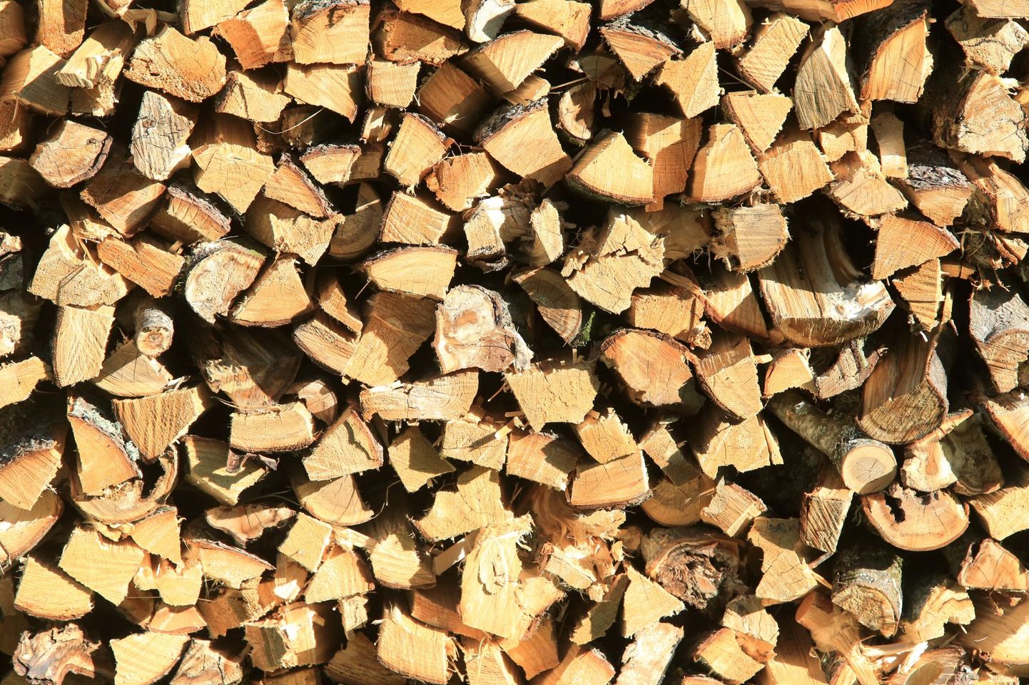 Otsesõnu ei ole keelatud keldriruumidesse puid ladustada, siiski ei ole mõistlik küttematerjali keldris hoida.