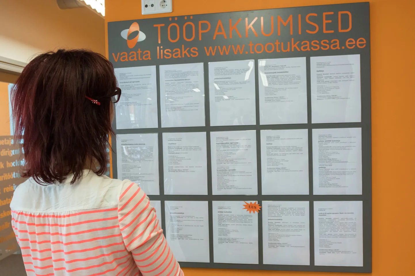 Tööpakkumised Töötukassas