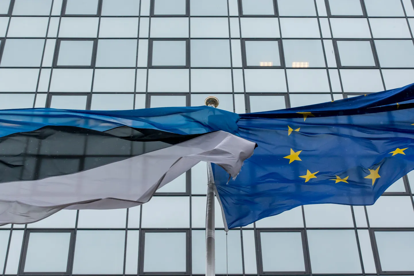 Eesti ja Euroopa liidu lipud kõrvuti lehvimas. Eesti on olnud Euroopa Liidu liige 20 aastat ning toimuvad ka Europarlamendi valmimised. Täna debateeritakse rohepöörde teemadel.