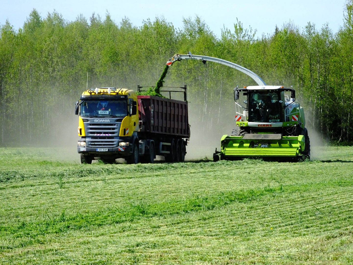 Estonia OÜ põllul käib söödapuuduse tõttu esimene koristus harjumuspärasest varem.