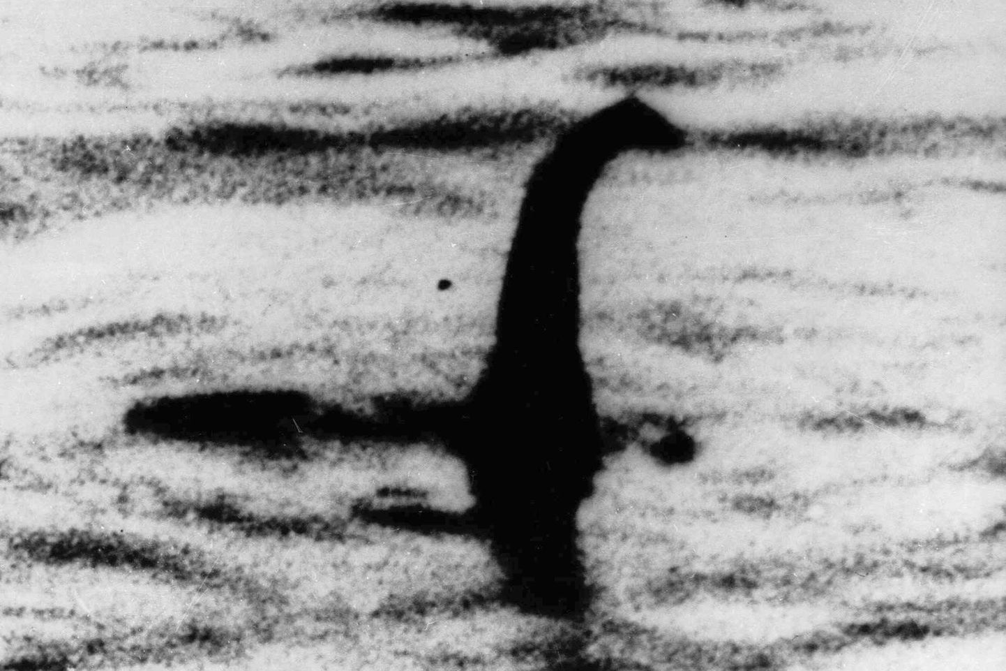 Dateerimata foto kujuga, mida mõned inimesed peavad Šotimaa Loch Nessi koletiseks.