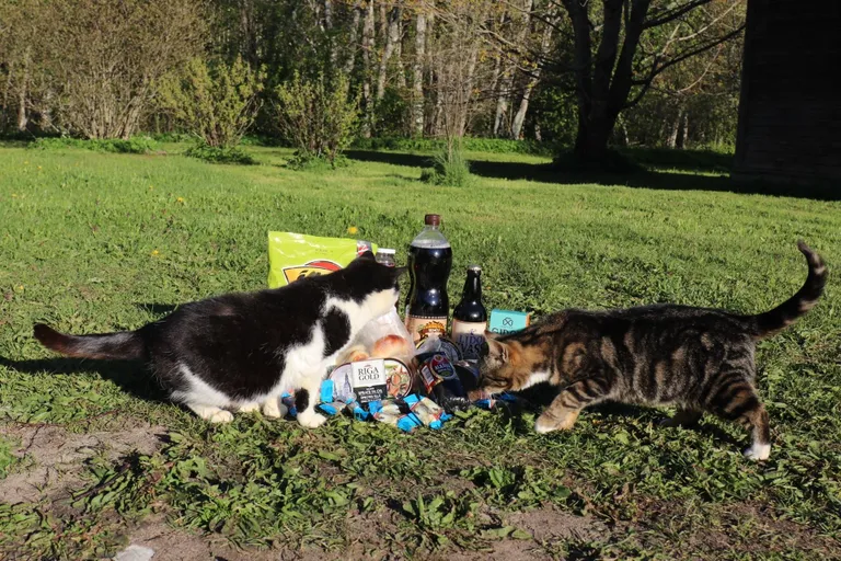 Подборка латвийских товаров, которые ценят эстонцы. FOTO: