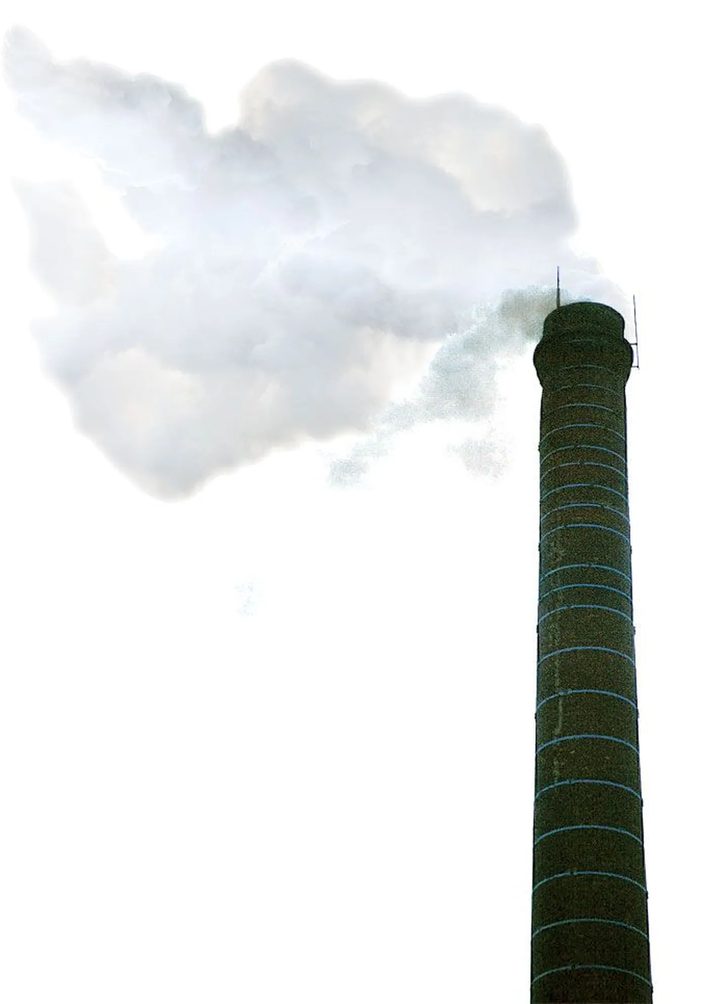Artikli foto