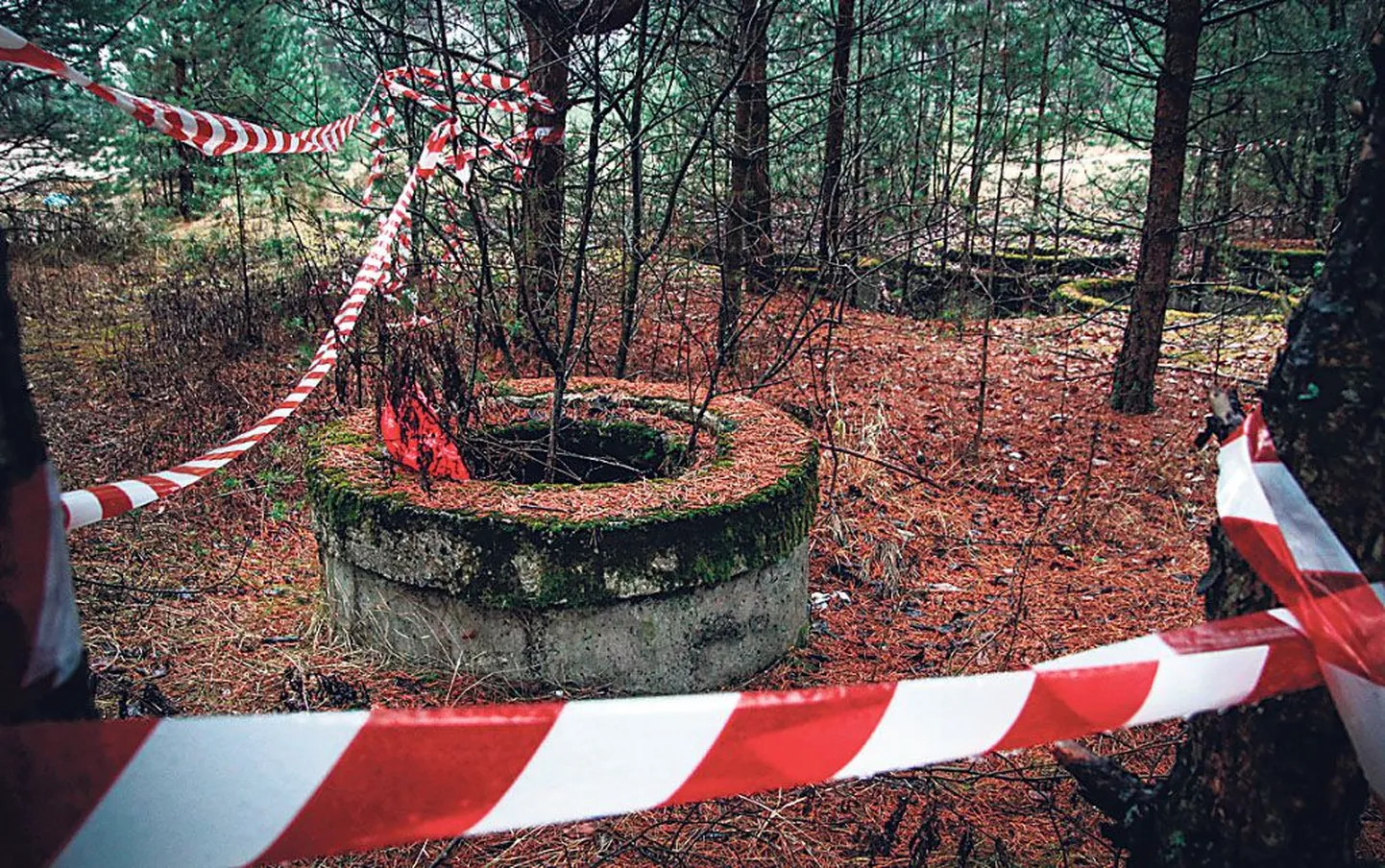 Liivi tee ääres pole kuu ajaga suurt midagi muutunud ja nii nagu kaevud ohvrit passisid, teevad nad seda nüüdki.