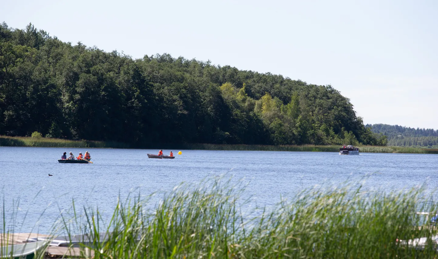 Viljandi järve rand