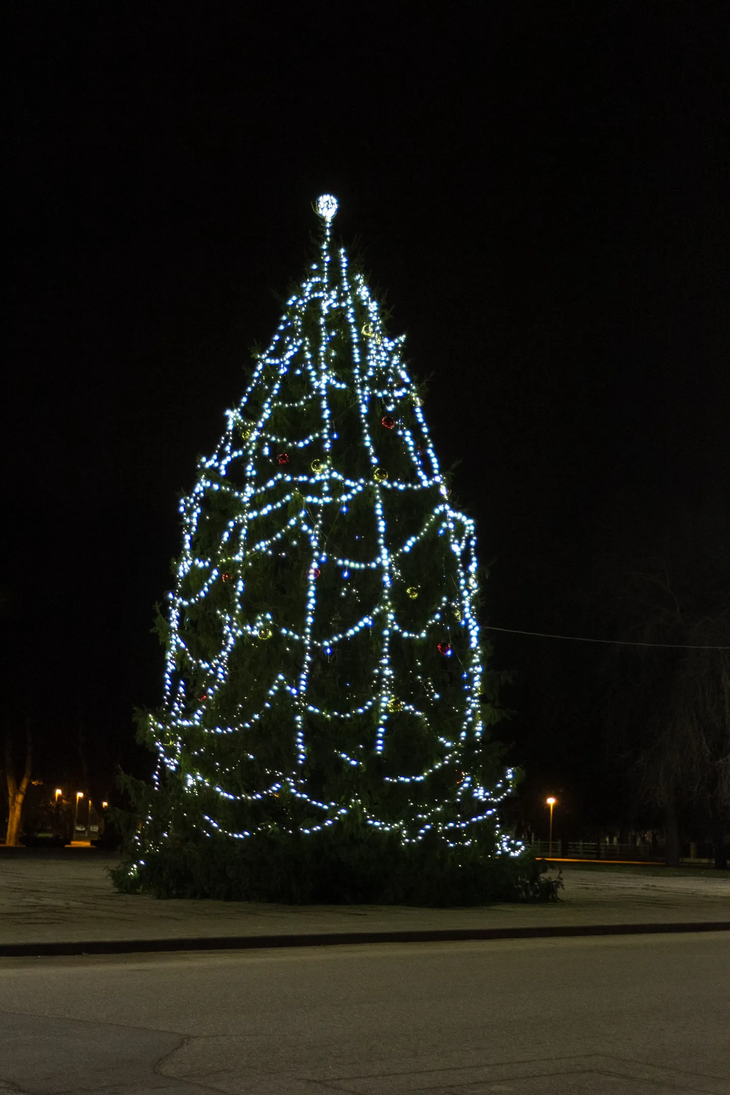 Valka linna jõulukuusk