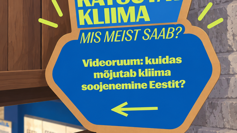 Kliimanäitus hoiatab tõusva mere ja tugevnevate tormide mõju eest Saaremaal