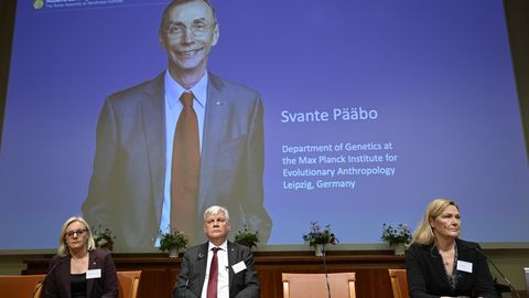 Eesti juurtega Svante Pääbo tõi kärgperre teisegi Nobeli auhinna