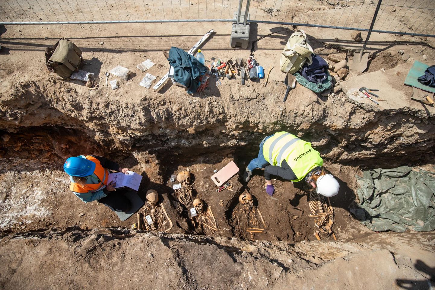 Arheoloogid leidsid Pikalt tänavalt 67 skeletti, lisaks tuhandeid üksikluid ja hulga esemeid.