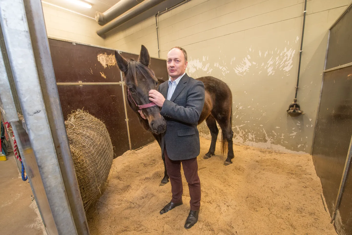 Kuigi hobune Black Shawl on maaülikoolil baasõppeks olemas, ei saa sugugi kõiki loomi loomakliinikusse tuua, vahel tuleb ka ise farmidesse sõita. Pildil maaülikooli veterinaarmeditsiini ja loomakasvatuse instituudi direktor Toomas Tiirats.