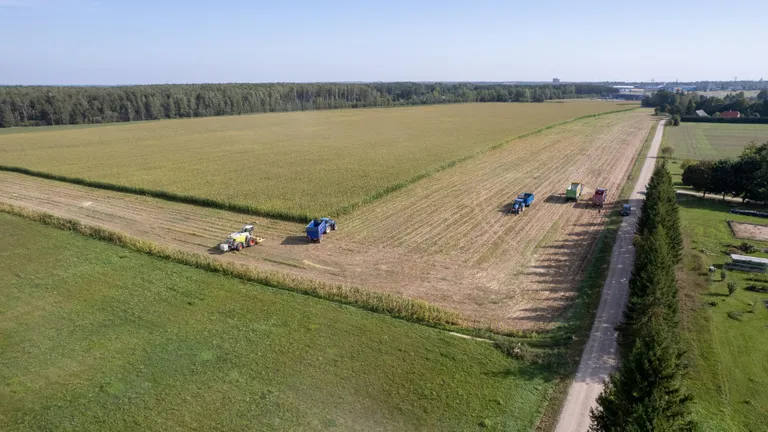 Käib maisi koristus Tartu Agro maadel Tartu ja Ilmatsalu vahelisel põllul.