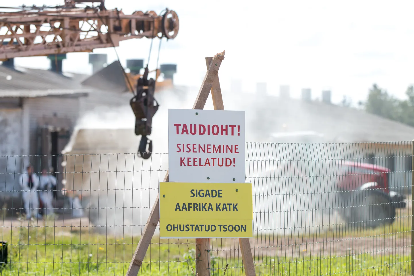 VTA eelmise peadirektori viis ametist vassimine sigade Aafrika katku likvideerimisel.