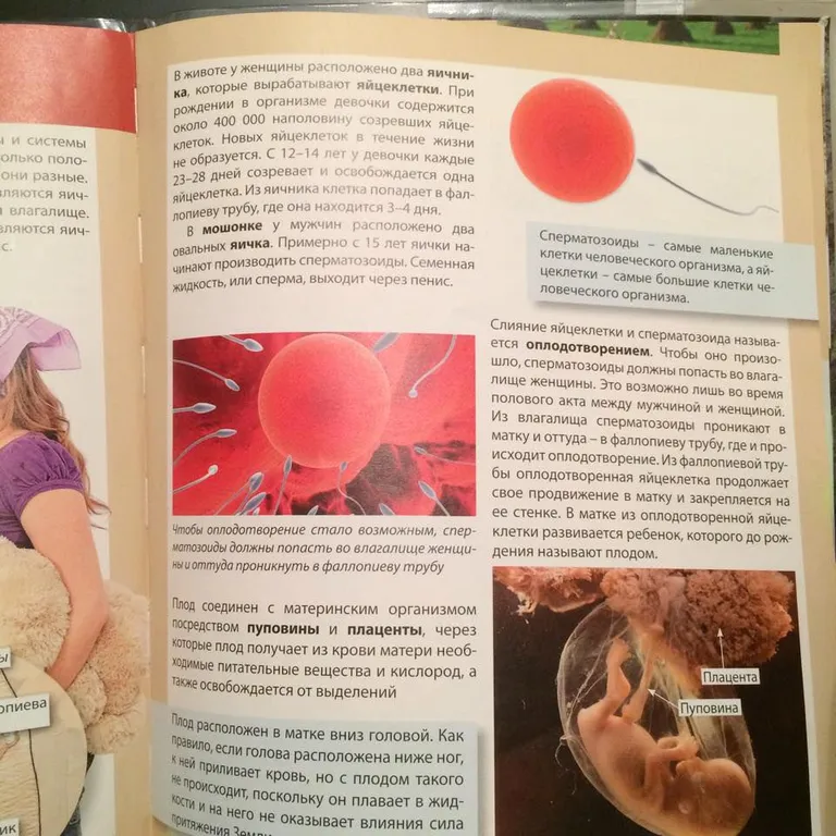 Фото читателя Limon.ee. Учебник по природоведению 4-го класса.