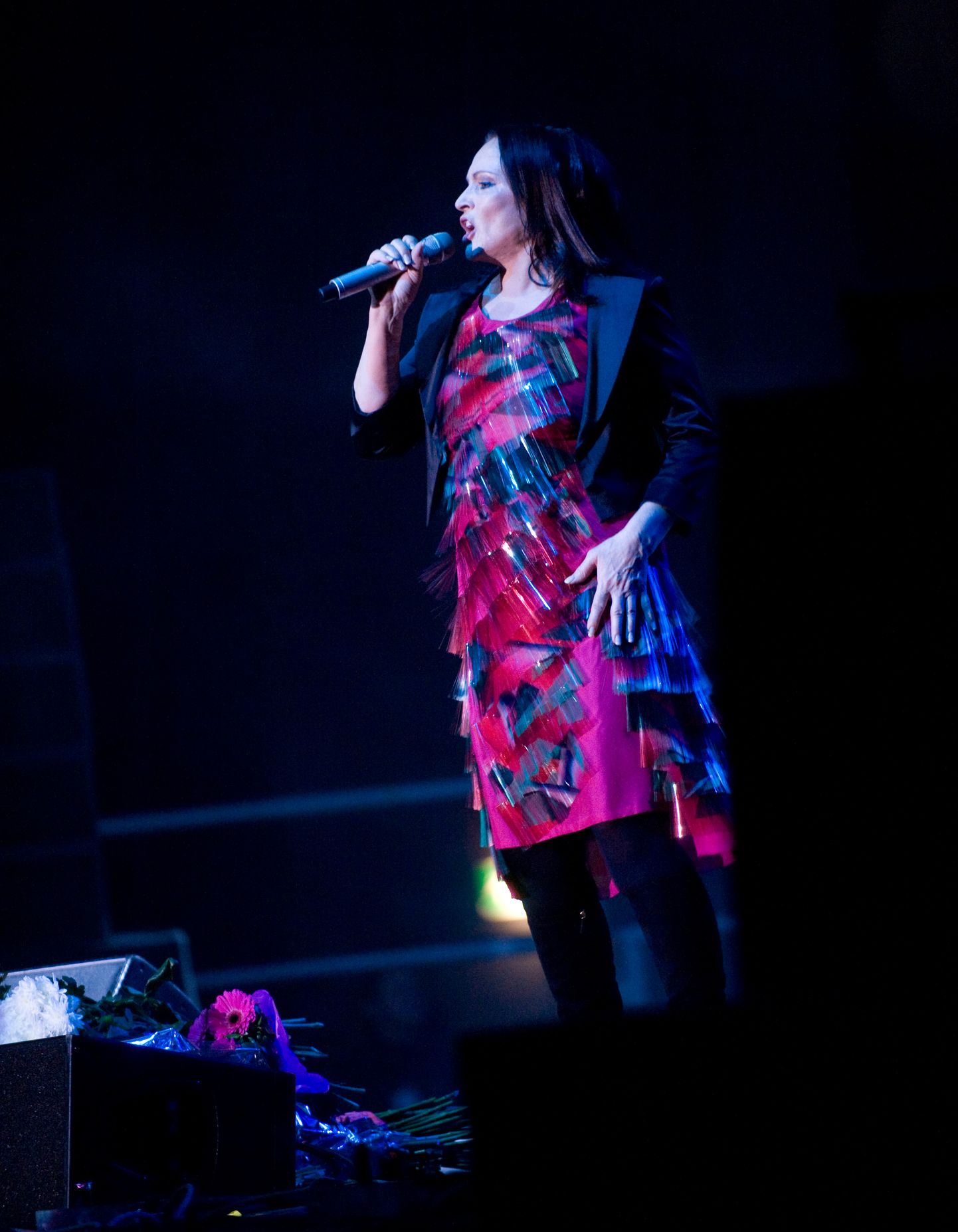 София Ротару на концерте в Таллинне в 2010 году