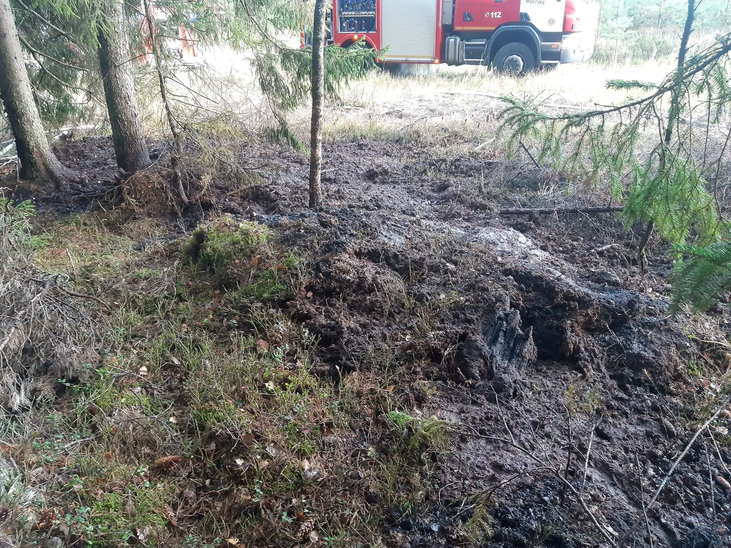 Pühapäeval, 20. oktoobri pärastlõunal süttis Jõgevamaal Mustvee vallas metsaalune. Päästjatel õnnestus 100-ruutmeetrisele alale levinud põleng tunniga kustutada.