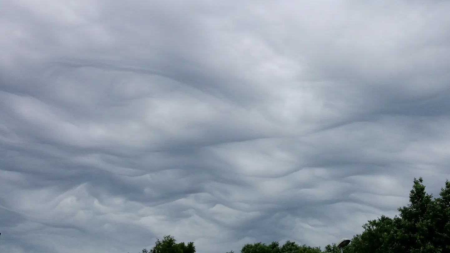 Loodusgeograafiamagistrant ja atmosfäärihuviline Jüri Kamenik liigitab oma Facebooki kontol selliseid pilvi lainelis-kaootilisteks kihtrünkpilvedeks, märkides, et neid ei näe taevas just väga sageli.