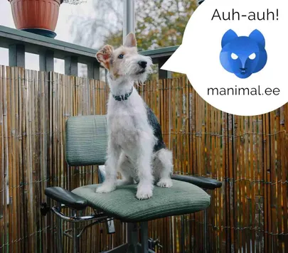 Manimal teeb sotsiaalmeediaturundust ja veebilehti.