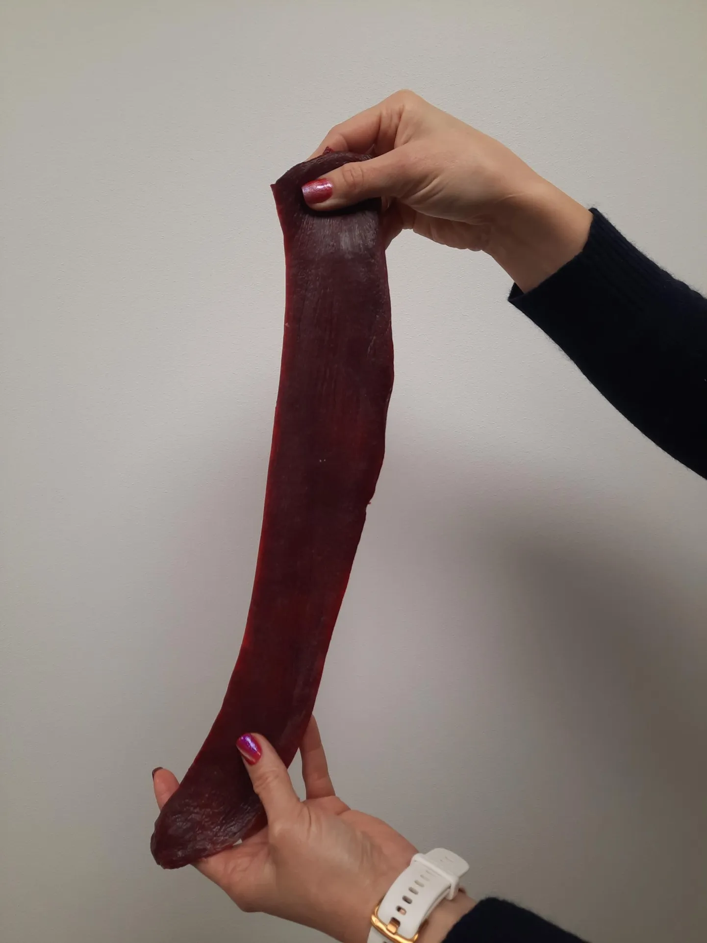 Seapõrn on piklik vereloomeelund. Tema kuju ja paksuse järgi ennustatakse ilma.
