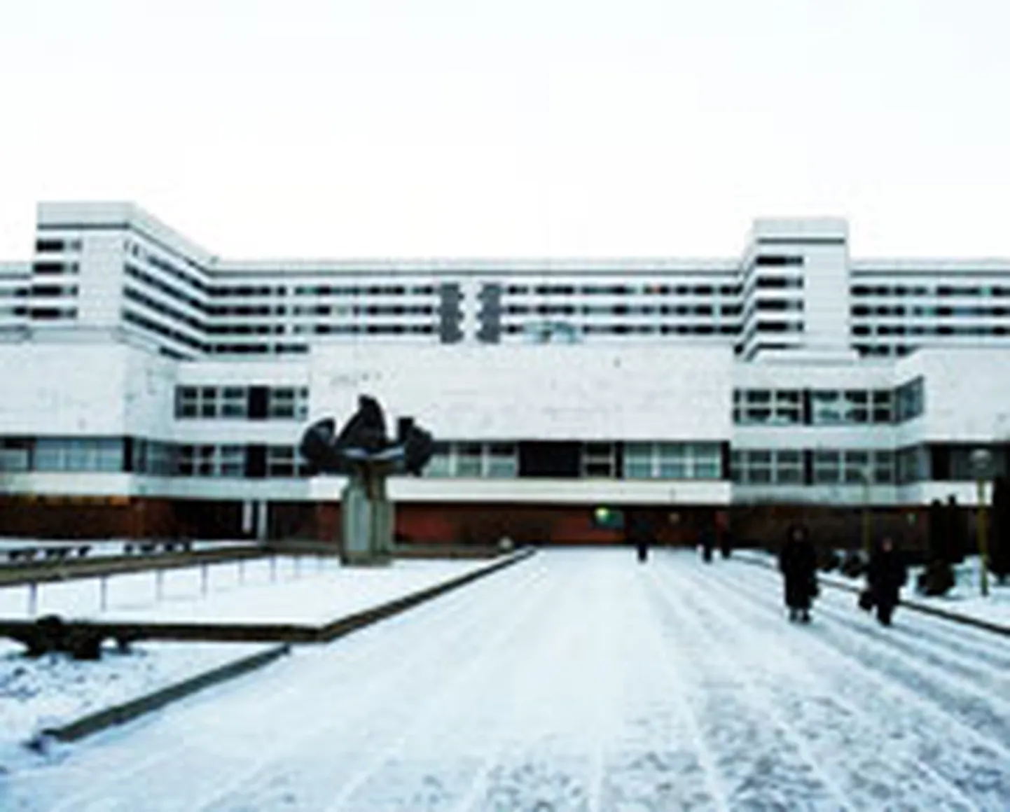 Raksta foto