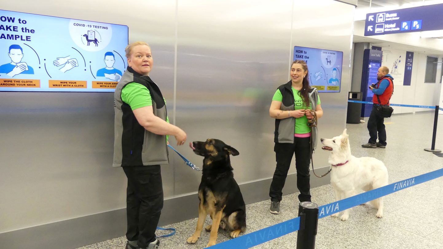 Собаки Вало и ET в аэропорту Хельсинки-Вантаа.