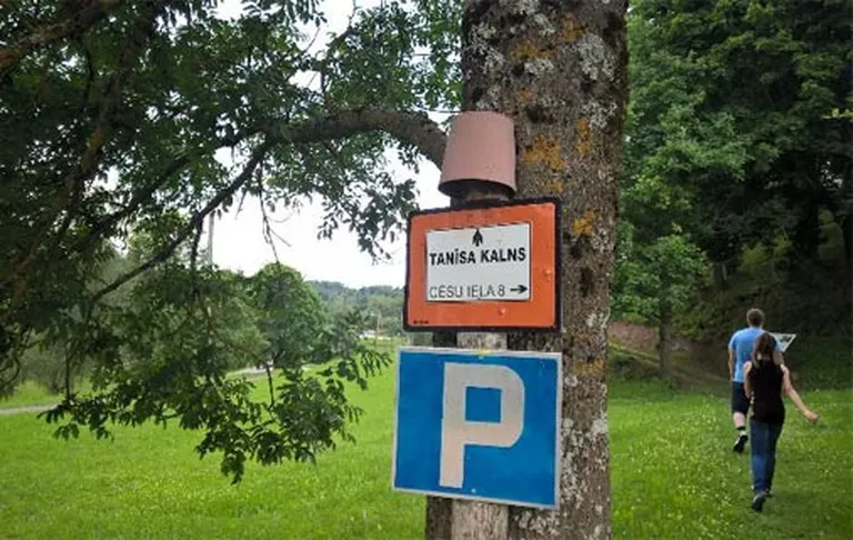 Raksta foto