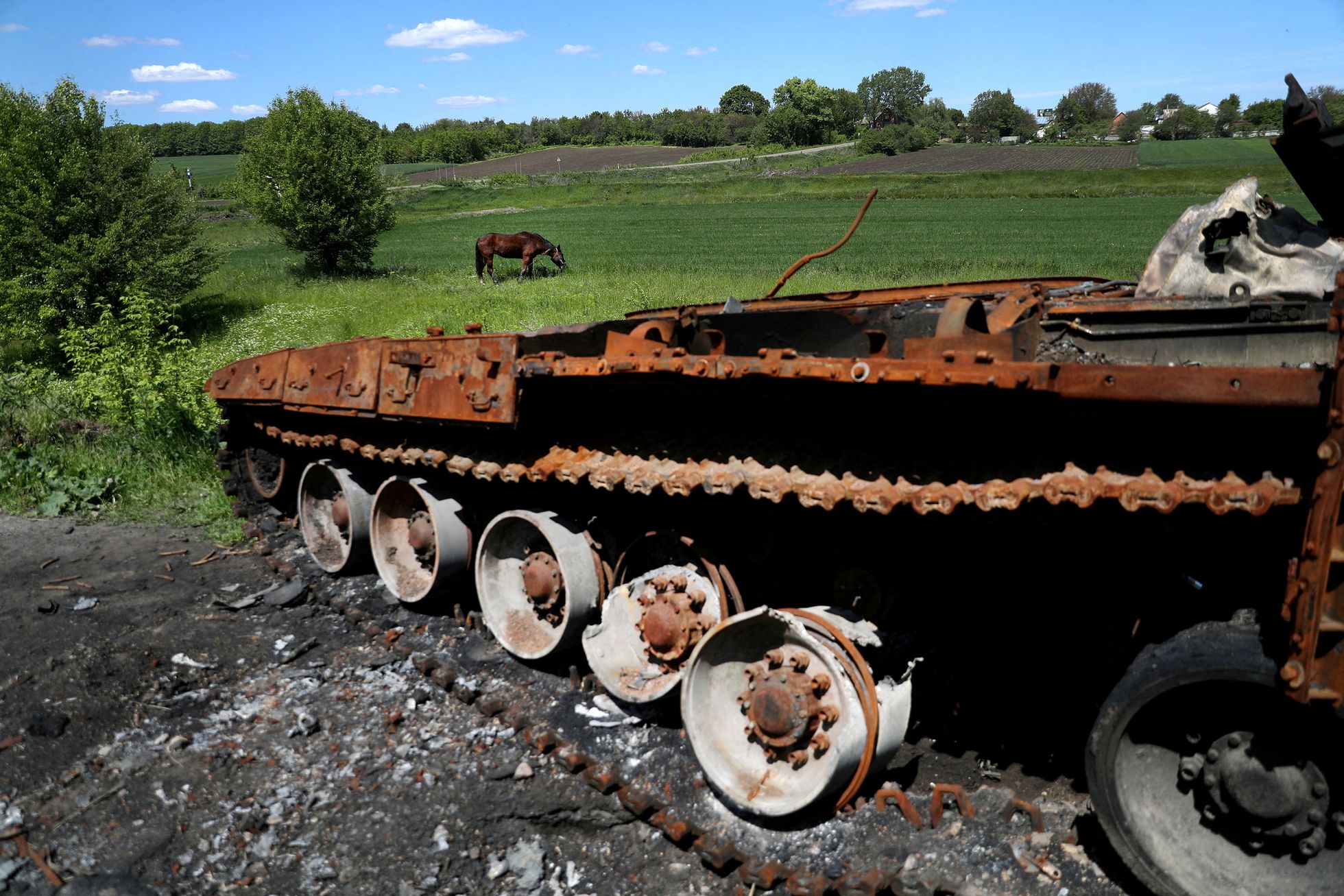 Hobune sööb eile karjamaal roostetava Vene tanki kõrval Sumõ oblastis Tšupahivkas.