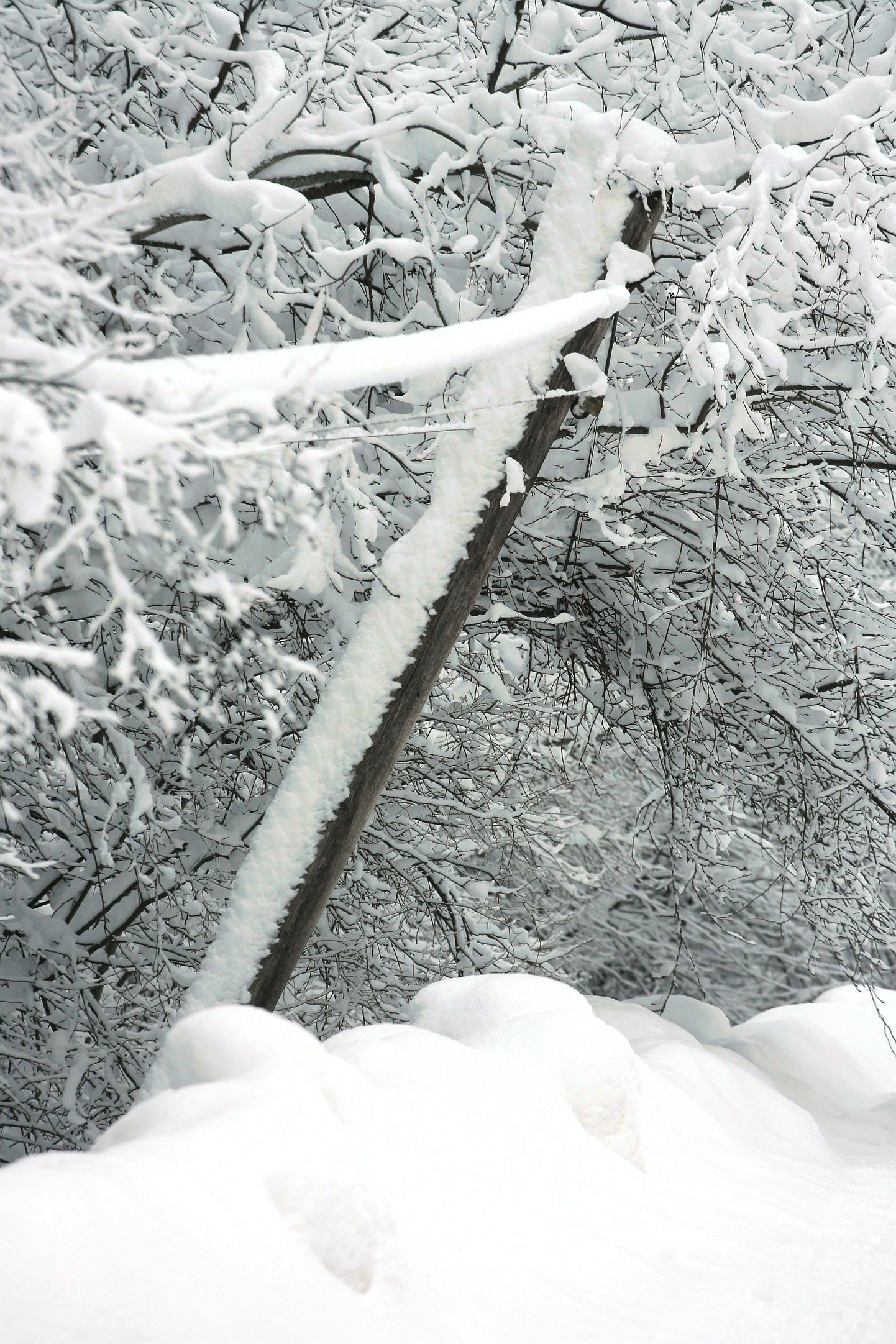 Из-за снегопада во многих уездах произошли сбои с подачей электроэнергии.