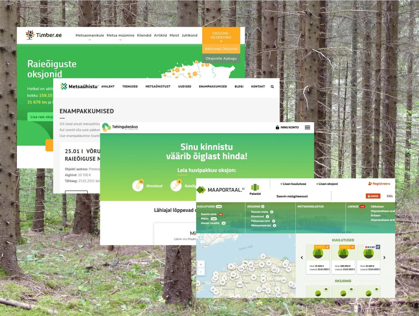 Eesti suuremad interneti enampakkumiskeskkonnad metsale on timber.ee, metsa­uhistu.ee, tehingukeskus.ee ja maaportaal.ee.