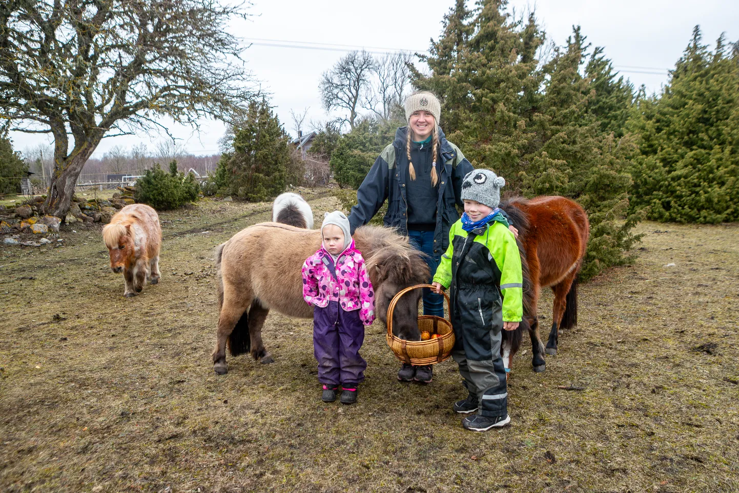 Kõruse Aadu talu kadakate vahel jäid pildile miniponid Milka, Bella, Nala ja Selma.  Esiplaanil Elle (vasakul) ja Ekke. Keskel ema Miina-Eliise Udeküll.