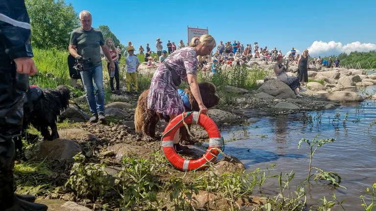 Sindi ohutuspäeval näitavad end ka vetelpäästekoerad ehk Märjad Käpad.